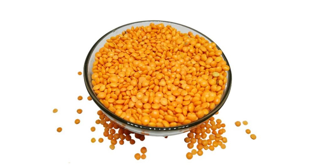 masoor dal (Lentil)