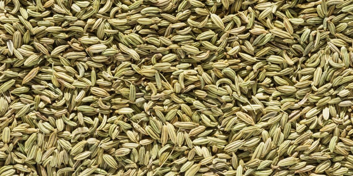 sombu(fennel seeds)