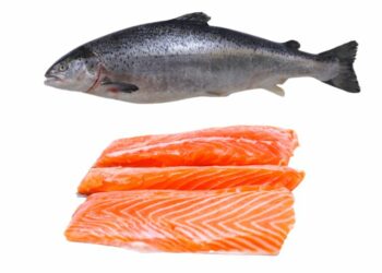 Salmon in marathi