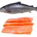 Salmon in marathi
